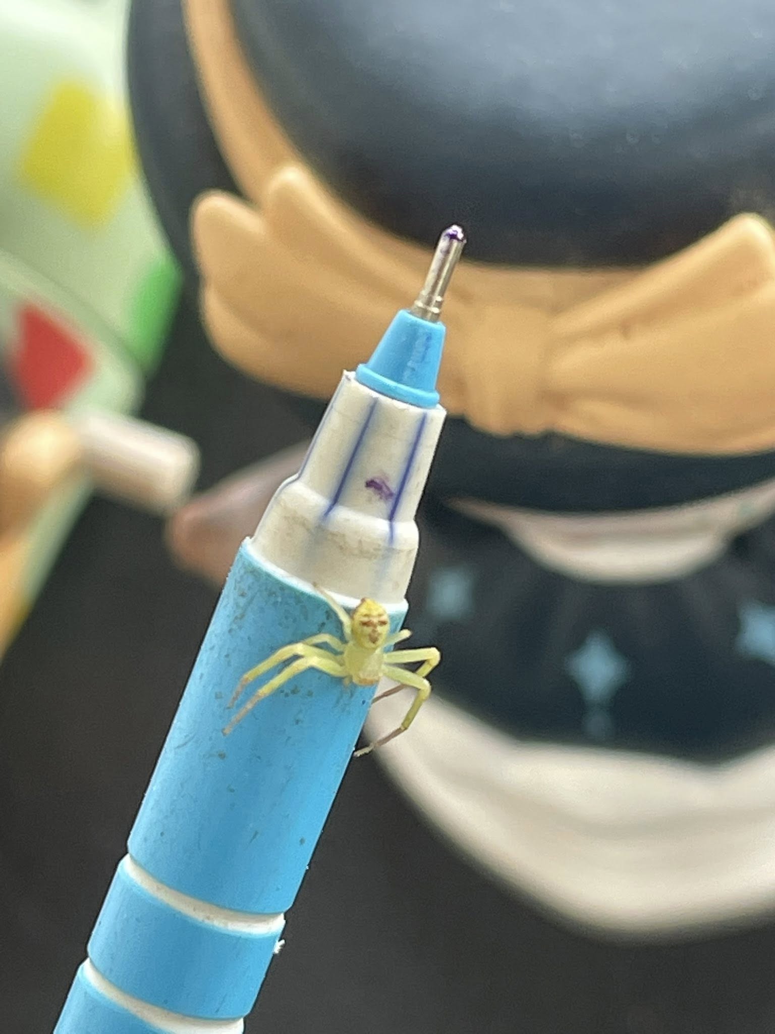 Nhện “mặt người” gây chú ý trên mạng Thái Lan - Ảnh 2. Nhện “mặt người” gây chú ý trên mạng Thái Lan - Ảnh 2.