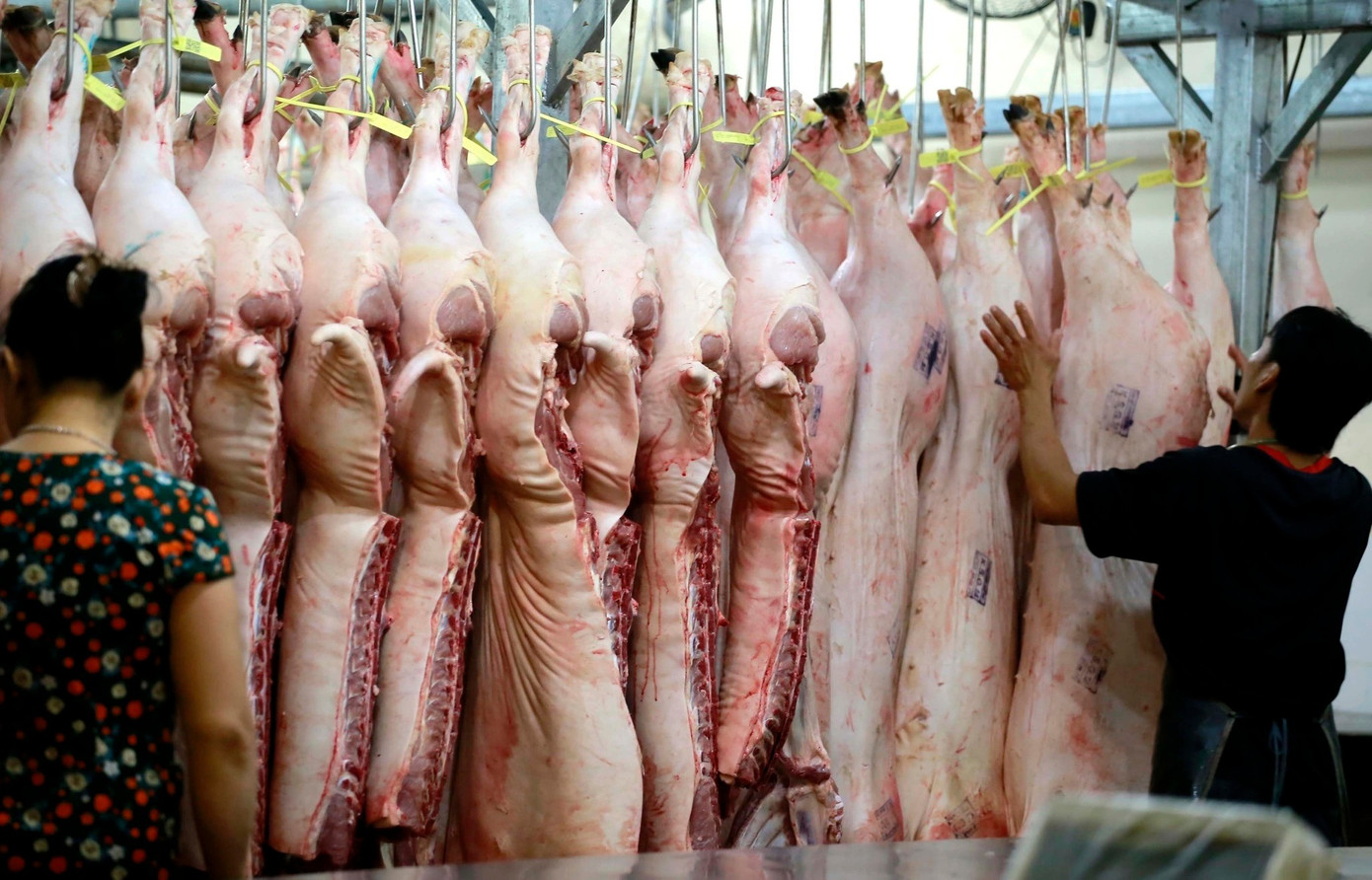 Giá lợn hơi giảm mạnh- Ảnh 1.