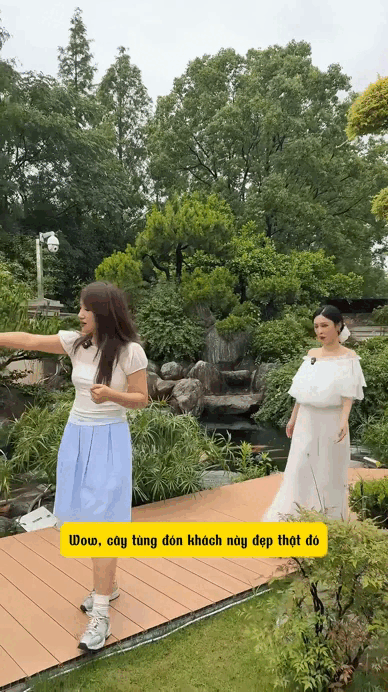 Phú bà sống trong biệt thự 185 tỷ: Lộng lẫy đến mức sang chấn thị giác, Google cạn từ khen Phú bà sống trong biệt thự 185 tỷ: Lộng lẫy đến mức sang chấn thị giác, Google cạn từ khen