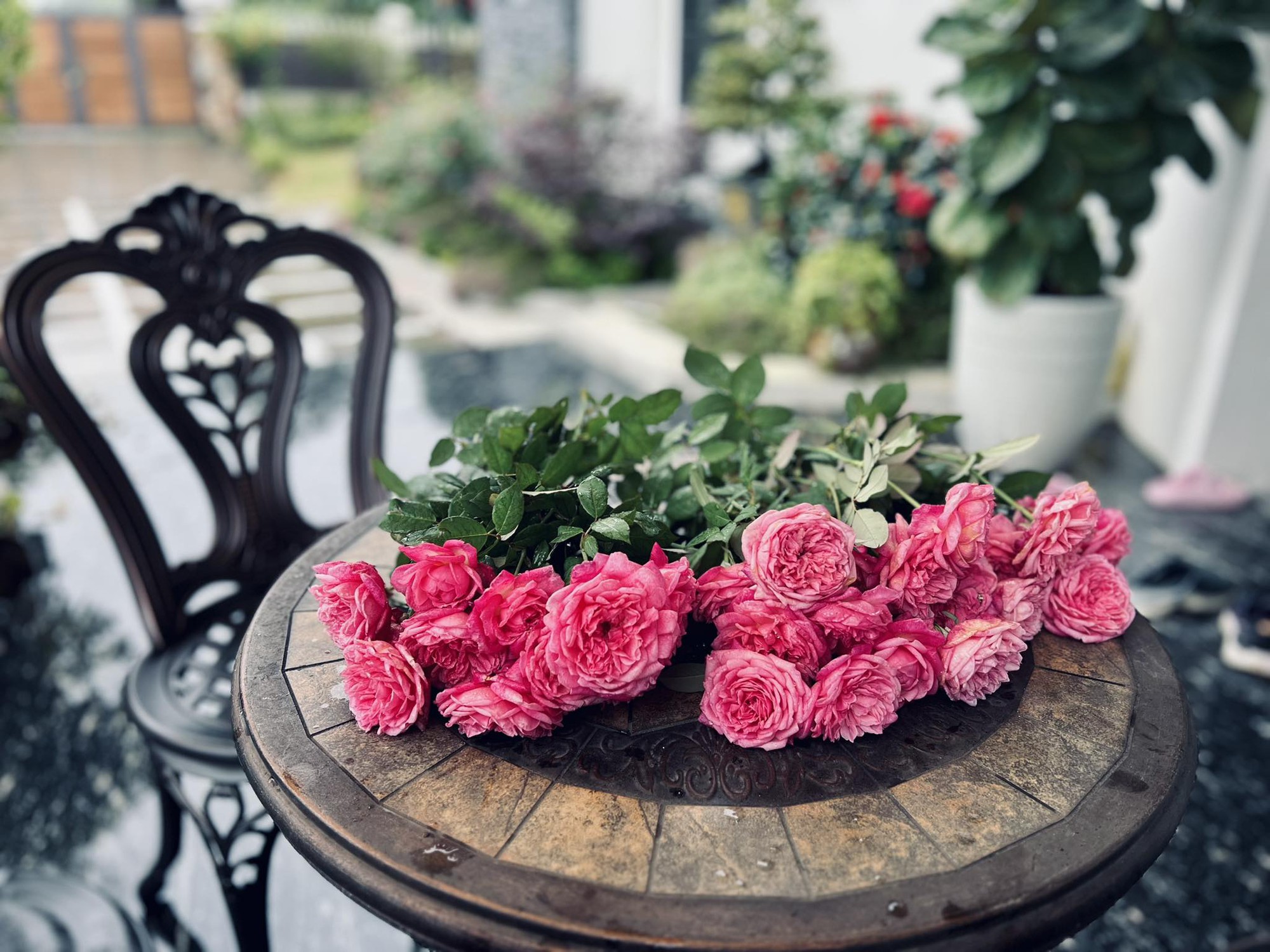 Tài sản hiếm có của MC Diễm Quỳnh ở tuổi 53- Ảnh 7. Tài sản hiếm có của MC Diễm Quỳnh ở tuổi 53- Ảnh 7.