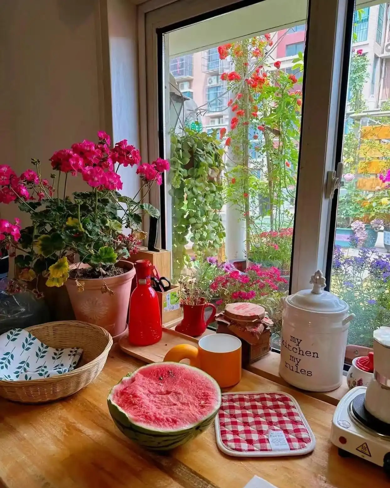 Ngôi nhà của bà cụ 92 tuổi gây xúc động: Như bước ra như hoạt hình Ghibli, góc nào cũng chữa lành- Ảnh 8. Ngôi nhà của bà cụ 92 tuổi gây xúc động: Như bước ra như hoạt hình Ghibli, góc nào cũng chữa lành- Ảnh 8.