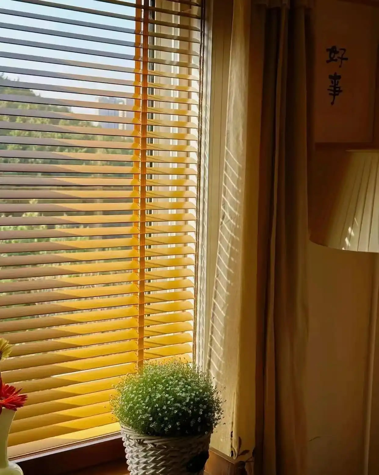 Ngôi nhà của bà cụ 92 tuổi gây xúc động: Như bước ra như hoạt hình Ghibli, góc nào cũng chữa lành- Ảnh 18. Ngôi nhà của bà cụ 92 tuổi gây xúc động: Như bước ra như hoạt hình Ghibli, góc nào cũng chữa lành- Ảnh 18.