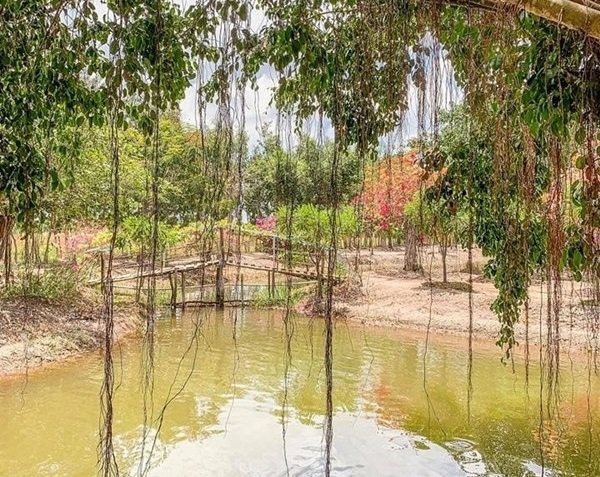 Nữ ca sĩ sở hữu 4 bất động sản triệu đô, 1 miệt vườn 20.000m² nuôi gà- Ảnh 8. Nữ ca sĩ sở hữu 4 bất động sản triệu đô, 1 miệt vườn 20.000m² nuôi gà- Ảnh 8.