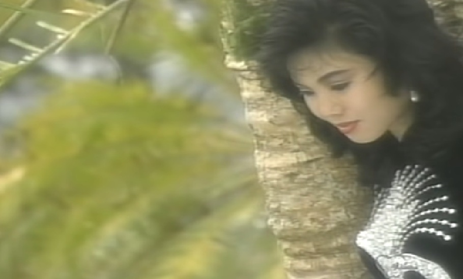 Nữ ca sĩ đem con 1 tháng đi diễn: "Anh Lý Hải bảo tôi, em đừng đến nữa"- Ảnh 2.