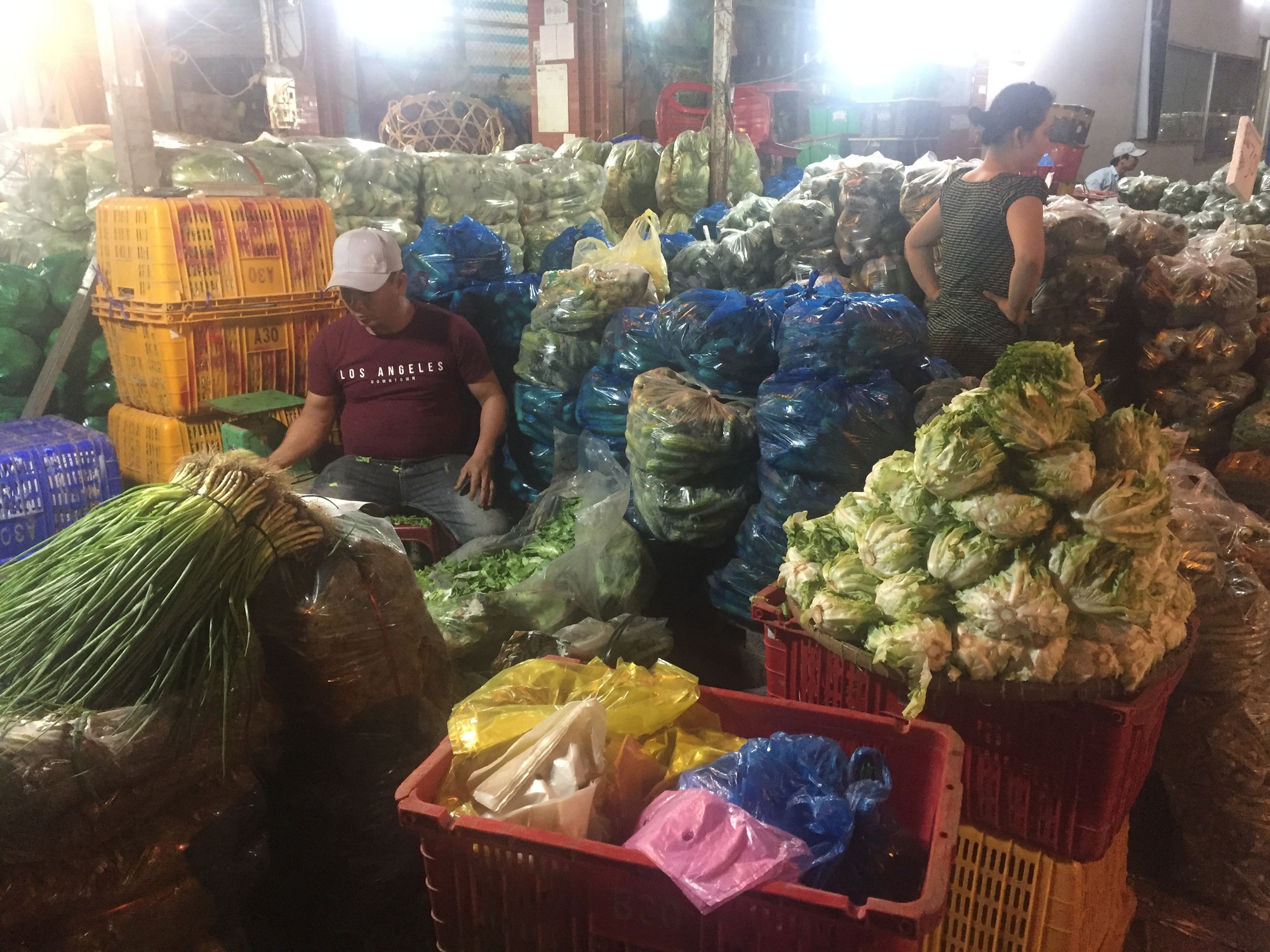 - Ảnh 1. - Ảnh 1.