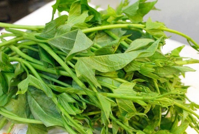 Ra chợ thấy 4 loại rau này, mạnh dạn nhắm mắt MUA LUÔN- Ảnh 3. Ra chợ thấy 4 loại rau này, mạnh dạn nhắm mắt MUA LUÔN- Ảnh 3.