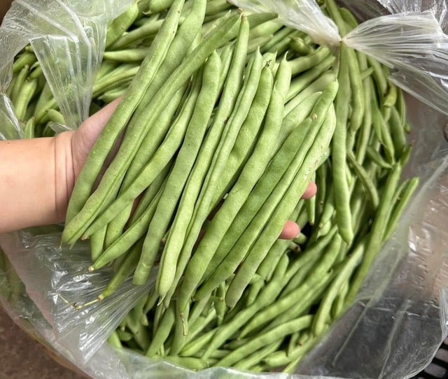 Chị bán rau ở chợ đầu mối chia sẻ: 4 loại rau tăng sốc nhất tháng này – và 4 món rẻ bằng một nửa để thay thế ngay- Ảnh 5. Chị bán rau ở chợ đầu mối chia sẻ: 4 loại rau tăng sốc nhất tháng này – và 4 món rẻ bằng một nửa để thay thế ngay- Ảnh 5.