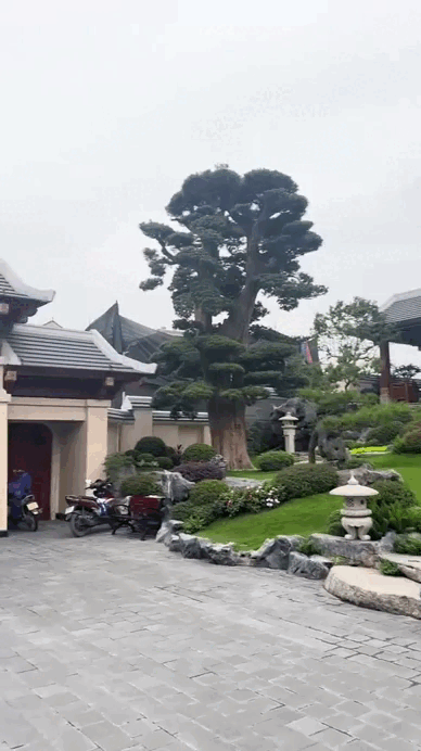 Cận cảnh siêu biệt phủ của trưởng thôn trẻ giàu nhất Việt Nam- Ảnh 4.