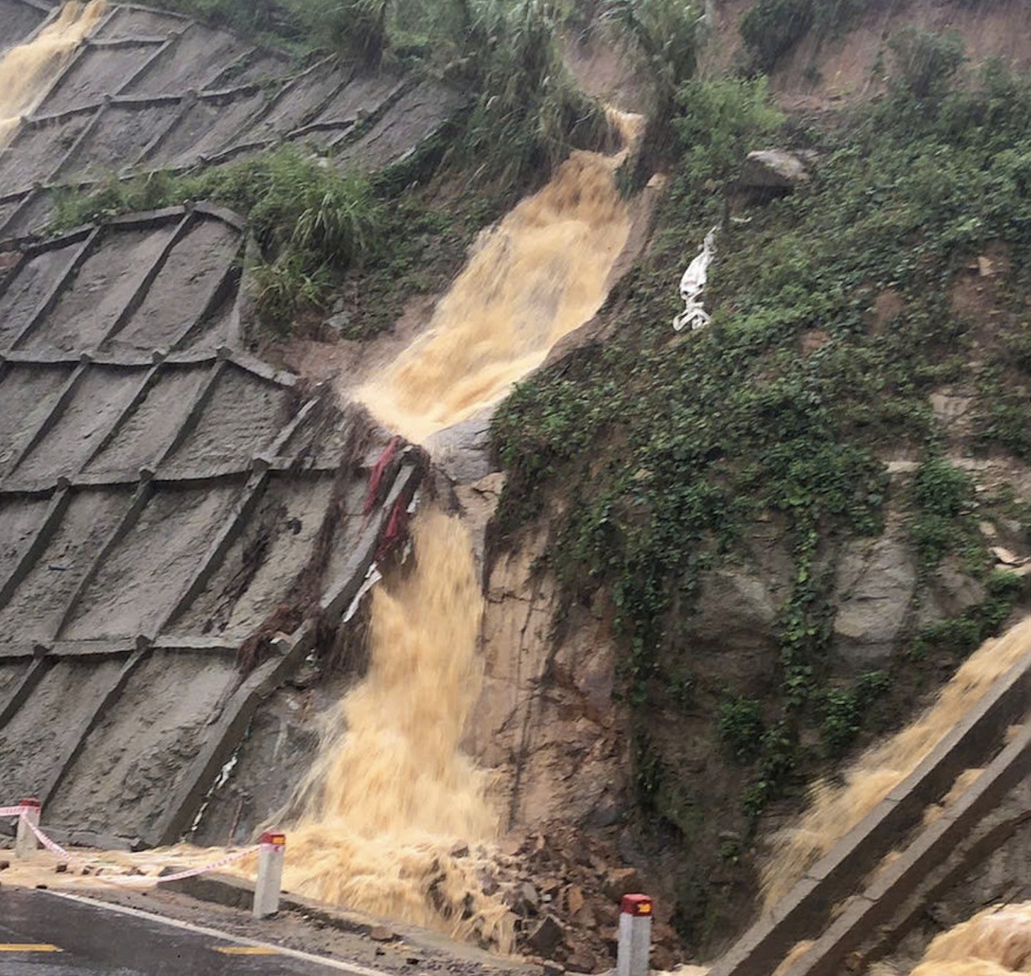 - Ảnh 1. - Ảnh 1.