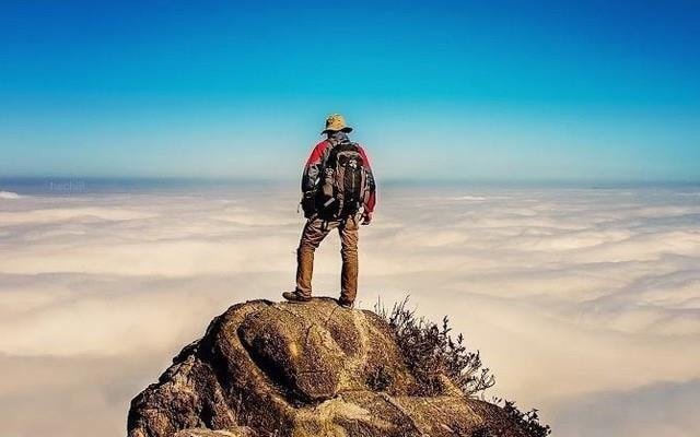 Một doanh nghiệp đầu ngành được dự báo lợi nhuận 2026 lập đỉnh mới, cổ tức có thể đạt 17.000 đồng/cp- Ảnh 1.