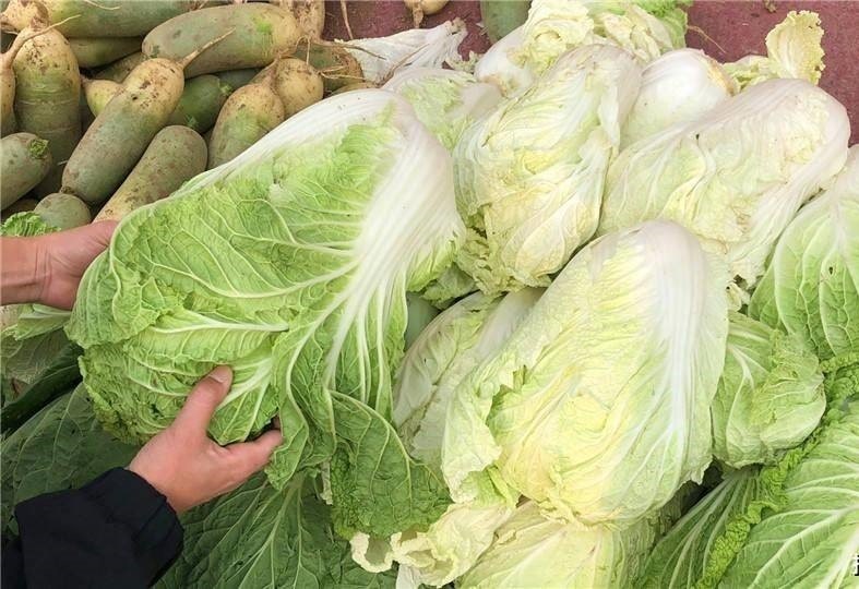 Đi chợ thấy 5 loại rau này thì "quay xe", dù người bán cho không cũng KHÔNG LẤY - Ảnh 6.