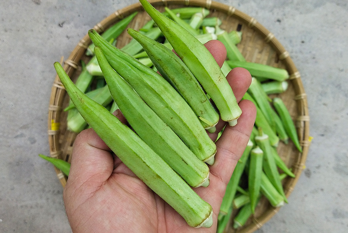 Chị bán rau ở chợ đầu mối chia sẻ: 4 loại rau tăng sốc nhất tháng này – và 4 món rẻ bằng một nửa để thay thế ngay- Ảnh 8. Chị bán rau ở chợ đầu mối chia sẻ: 4 loại rau tăng sốc nhất tháng này – và 4 món rẻ bằng một nửa để thay thế ngay- Ảnh 8.