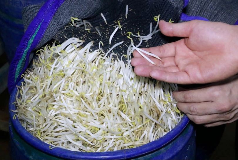 Đi chợ thấy 5 loại rau này thì "quay xe", dù người bán cho không cũng KHÔNG LẤY - Ảnh 3.