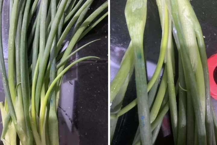 Đi chợ thấy 5 loại rau này thì "quay xe", dù người bán cho không cũng KHÔNG LẤY - Ảnh 2.