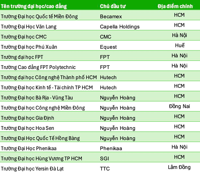 Làn sóng sở hữu trường tư của các tập đoàn lớn tại Việt Nam- Ảnh 3.