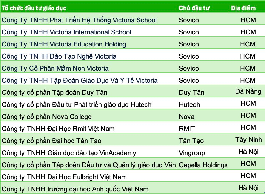 Làn sóng sở hữu trường tư của các tập đoàn lớn tại Việt Nam- Ảnh 4.