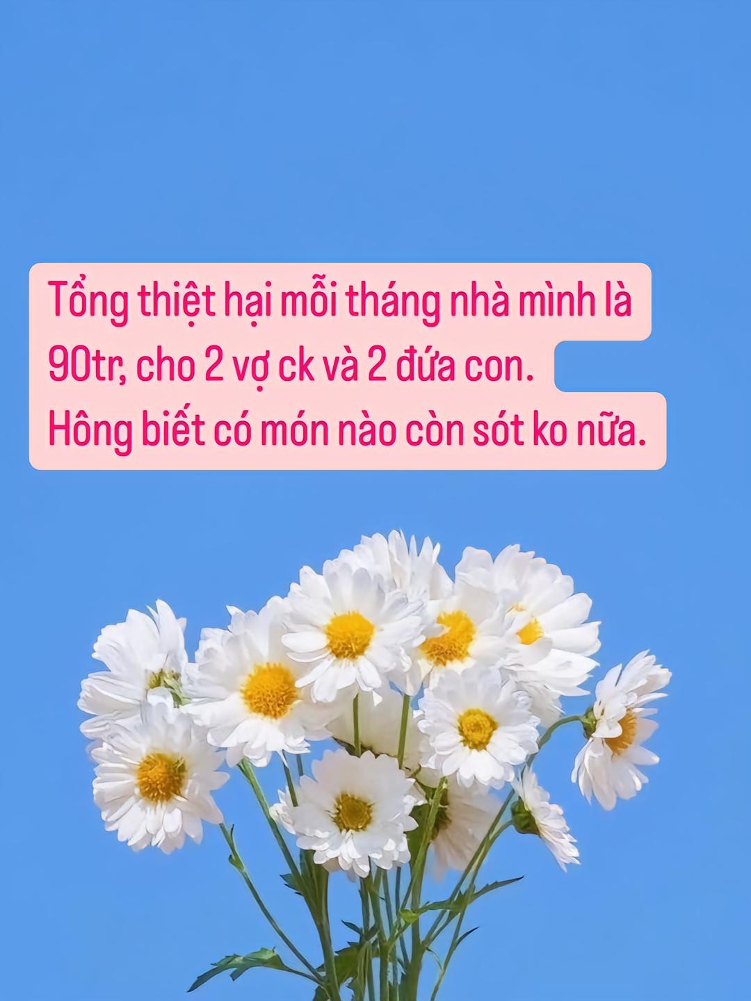 Tiêu 90 triệu/tháng: Vợ chồng Hà Nội vẫn ở thuê, ăn hết 20 triệu, mua quần áo đi chơi gần 10 triệu- Ảnh 1. Tiêu 90 triệu/tháng: Vợ chồng Hà Nội vẫn ở thuê, ăn hết 20 triệu, mua quần áo đi chơi gần 10 triệu- Ảnh 1.