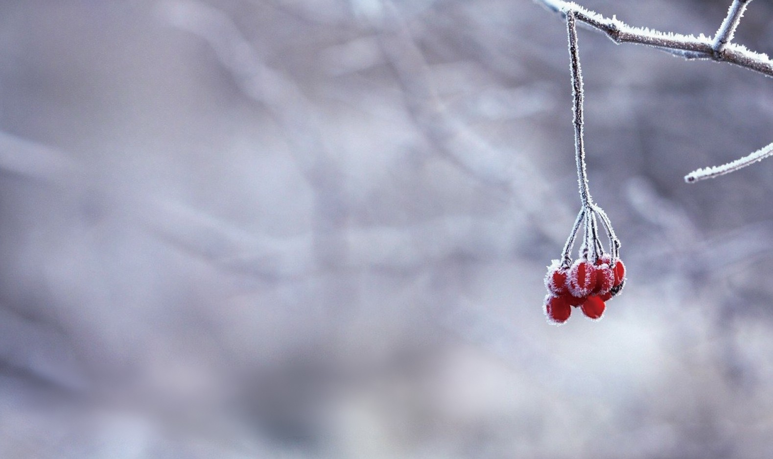 Tiết Lập Đông năm 2025 có gì đặc biệt?- Ảnh 2.