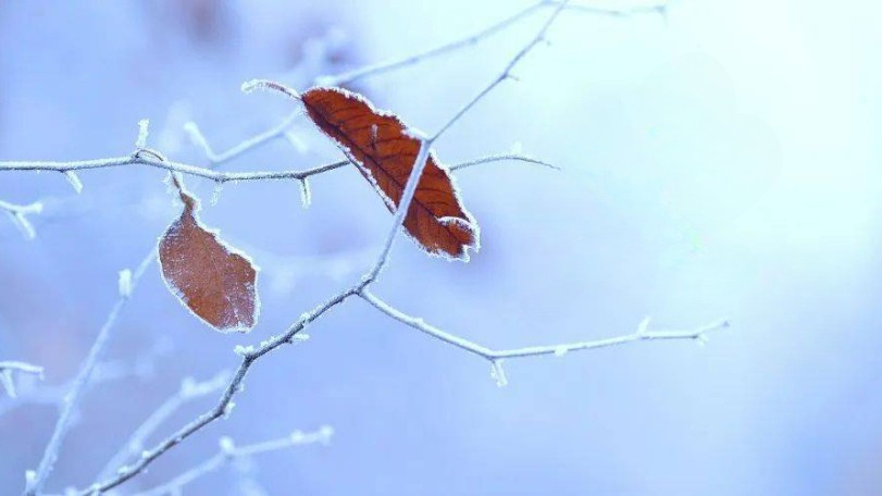 Tiết Lập Đông năm 2025 có gì đặc biệt?- Ảnh 3.