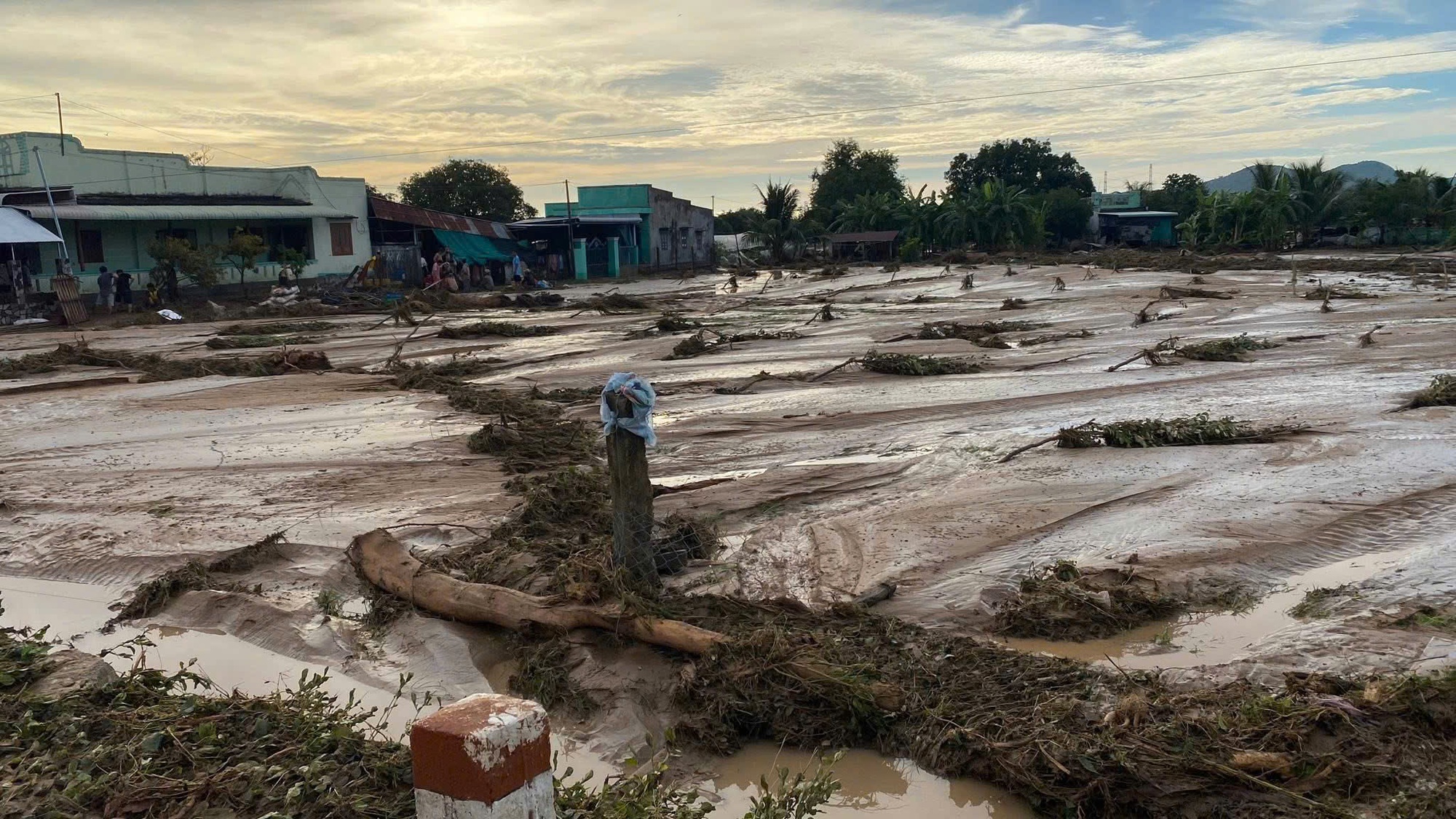 Hồ chứa nước của trang trại chăn nuôi bị vỡ gây chết người có phép hay không? - Ảnh 1.
