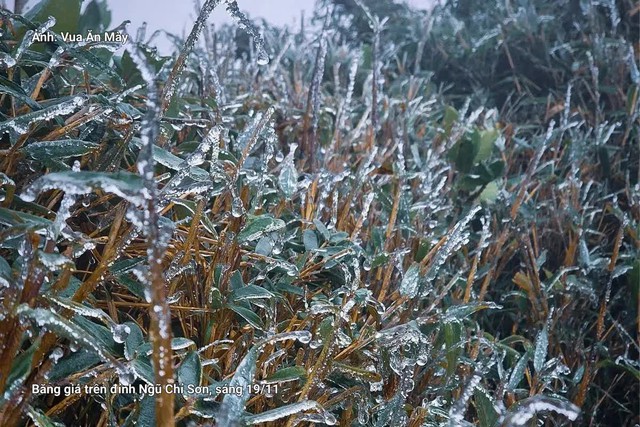 Miền Bắc đã xuất hiện băng giá sớm: Không phải ở Fansipan, đây cũng là điểm du lịch nổi tiếng Việt Nam- Ảnh 1. Miền Bắc đã xuất hiện băng giá sớm: Không phải ở Fansipan, đây cũng là điểm du lịch nổi tiếng Việt Nam- Ảnh 1.