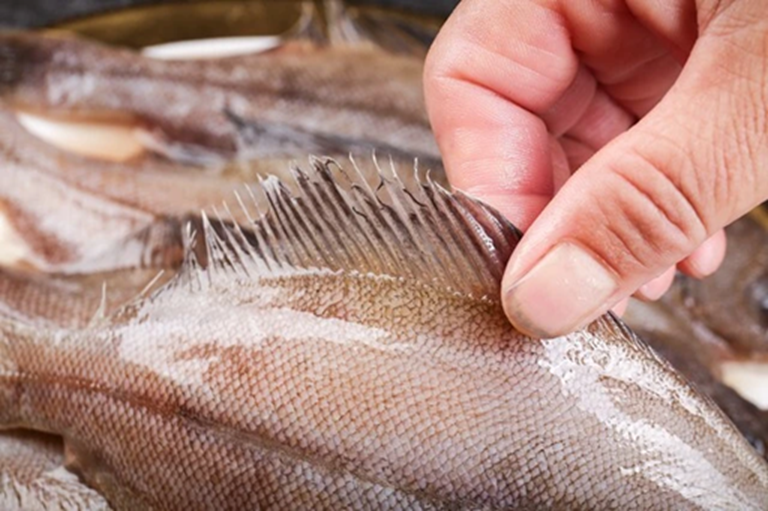 Đừng mua 5 loại cá này nữa, nhà có sẵn cũng đừng ăn, tôi mừng vì người bán cá đã tiết lộ- Ảnh 2. Đừng mua 5 loại cá này nữa, nhà có sẵn cũng đừng ăn, tôi mừng vì người bán cá đã tiết lộ- Ảnh 2.