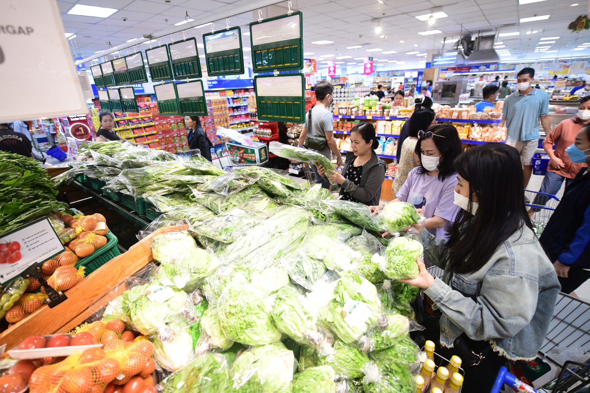 - Ảnh 4. - Ảnh 4.