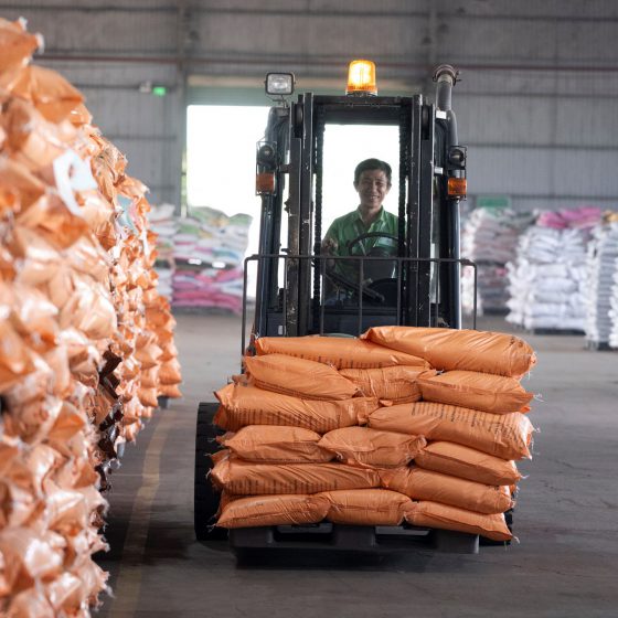 CEO Vũ Ngọc Tâm - Ảnh 2.