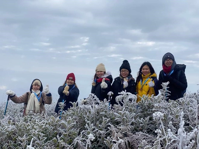 Miền Bắc đã xuất hiện băng giá sớm: Không phải ở Fansipan, đây cũng là điểm du lịch nổi tiếng Việt Nam- Ảnh 6. Miền Bắc đã xuất hiện băng giá sớm: Không phải ở Fansipan, đây cũng là điểm du lịch nổi tiếng Việt Nam- Ảnh 6.