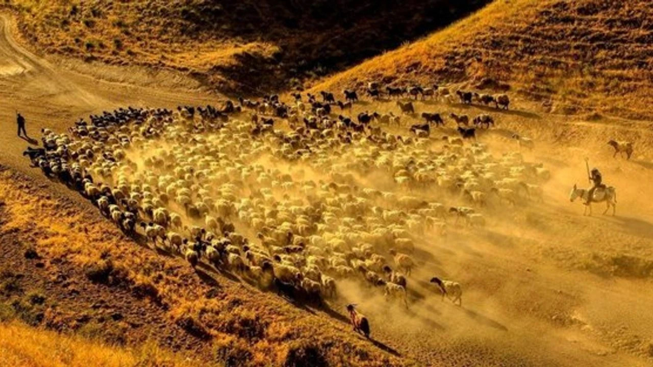 Nghề "hái ra tiền" không cần bằng cấp, làm một tháng đủ tiêu cả năm - Ảnh 2. Nghề "hái ra tiền" không cần bằng cấp, làm một tháng đủ tiêu cả năm - Ảnh 2.