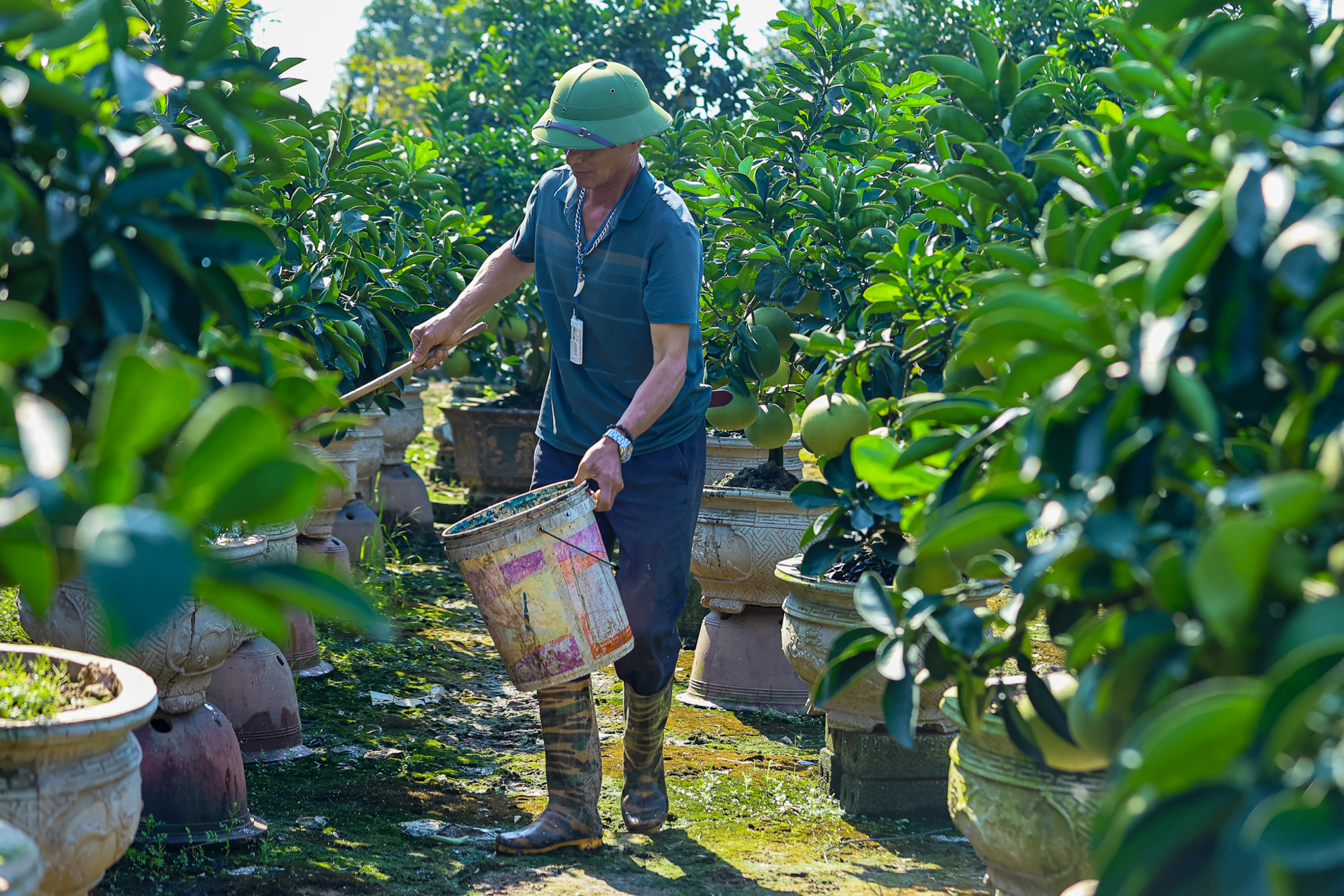 Toàn cảnh khu vực sắp xây sân vận động lớn nhất Việt Nam tại Hưng Yên: Sức chứa gấp rưỡi sân Mỹ Đình, do Vinhomes xây dựng- Ảnh 9. Toàn cảnh khu vực sắp xây sân vận động lớn nhất Việt Nam tại Hưng Yên: Sức chứa gấp rưỡi sân Mỹ Đình, do Vinhomes xây dựng- Ảnh 9.