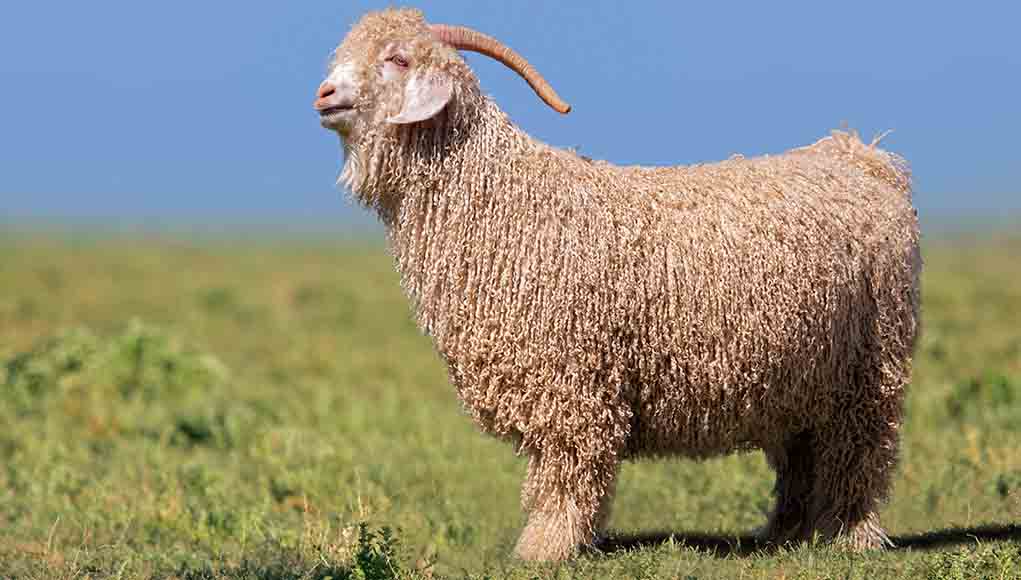 Nghề "hái ra tiền" không cần bằng cấp, làm một tháng đủ tiêu cả năm - Ảnh 3. Nghề "hái ra tiền" không cần bằng cấp, làm một tháng đủ tiêu cả năm - Ảnh 3.