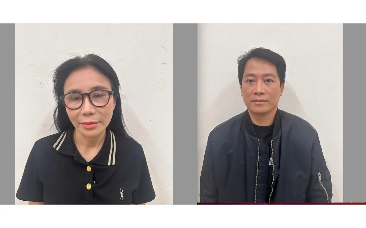 Khởi tố vợ chồng Giám đốc Thẩm mỹ viện Mailisa và các đồng phạm - Ảnh 1.