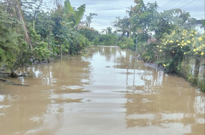 Thủy điện Trị An xả lũ gây ngập lụt , cắt điện hàng trăm hộ dân ven sông Đồng Nai - Ảnh 3. Thủy điện Trị An xả lũ gây ngập lụt , cắt điện hàng trăm hộ dân ven sông Đồng Nai - Ảnh 3.