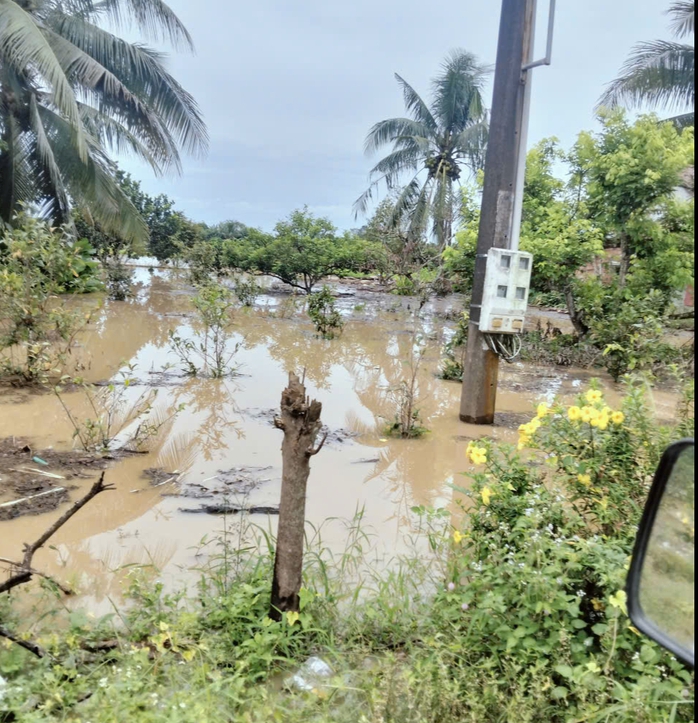 Thủy điện Trị An xả lũ gây ngập lụt , cắt điện hàng trăm hộ dân ven sông Đồng Nai - Ảnh 4. Thủy điện Trị An xả lũ gây ngập lụt , cắt điện hàng trăm hộ dân ven sông Đồng Nai - Ảnh 4.