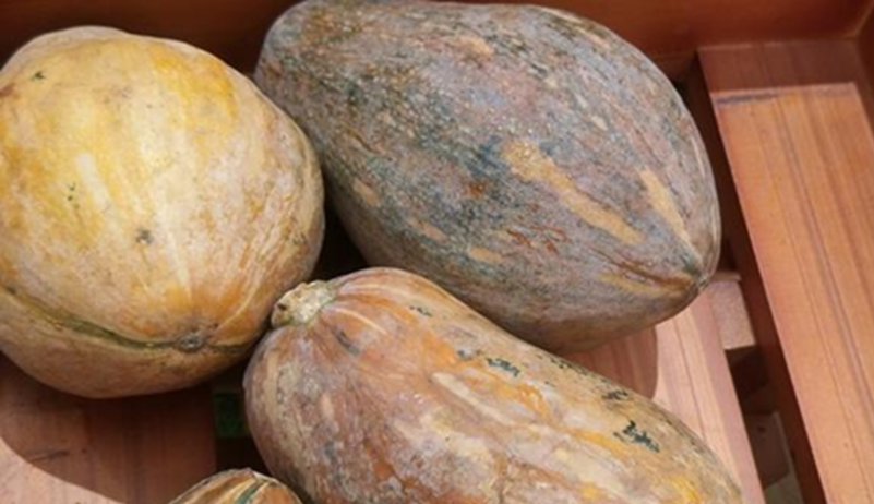 5 loại rau ăn nhiều "phá gan", ngon bổ mấy cũng hạn chế- Ảnh 2. 5 loại rau ăn nhiều "phá gan", ngon bổ mấy cũng hạn chế- Ảnh 2.