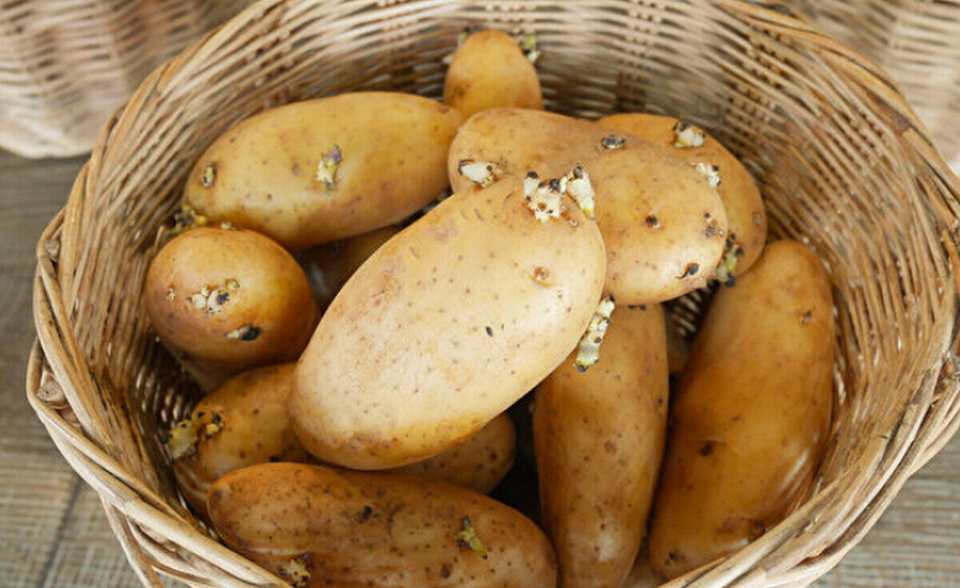 5 loại rau ăn nhiều "phá gan", ngon bổ mấy cũng hạn chế- Ảnh 3. 5 loại rau ăn nhiều "phá gan", ngon bổ mấy cũng hạn chế- Ảnh 3.