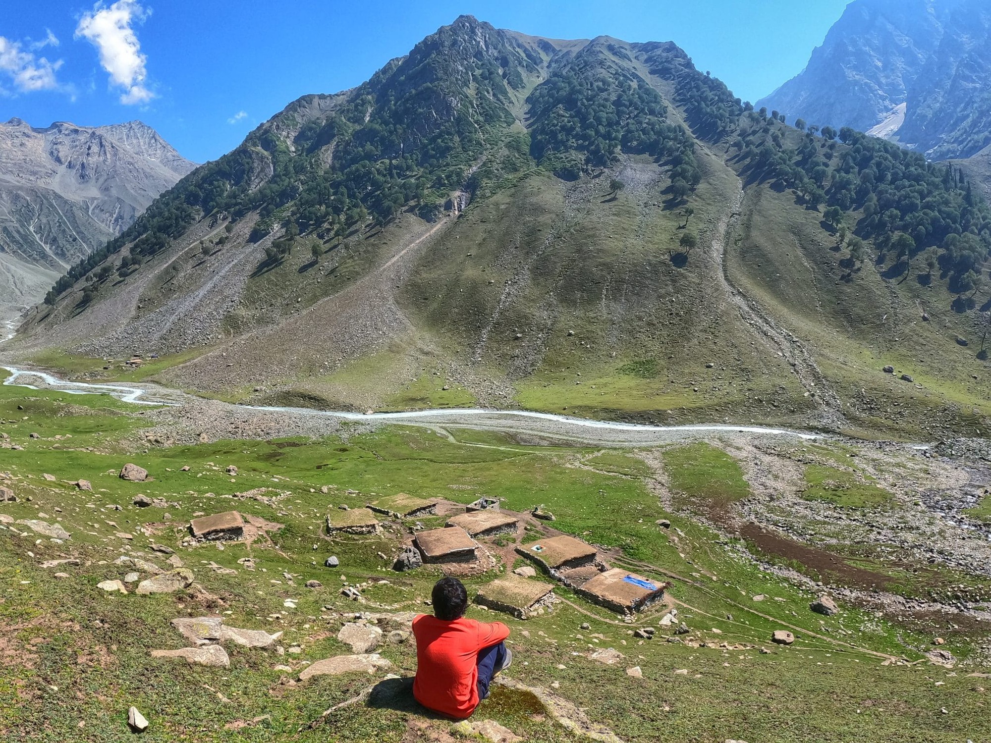 Nghề "hái ra tiền" không cần bằng cấp, làm một tháng đủ tiêu cả năm - Ảnh 1. Nghề "hái ra tiền" không cần bằng cấp, làm một tháng đủ tiêu cả năm - Ảnh 1.