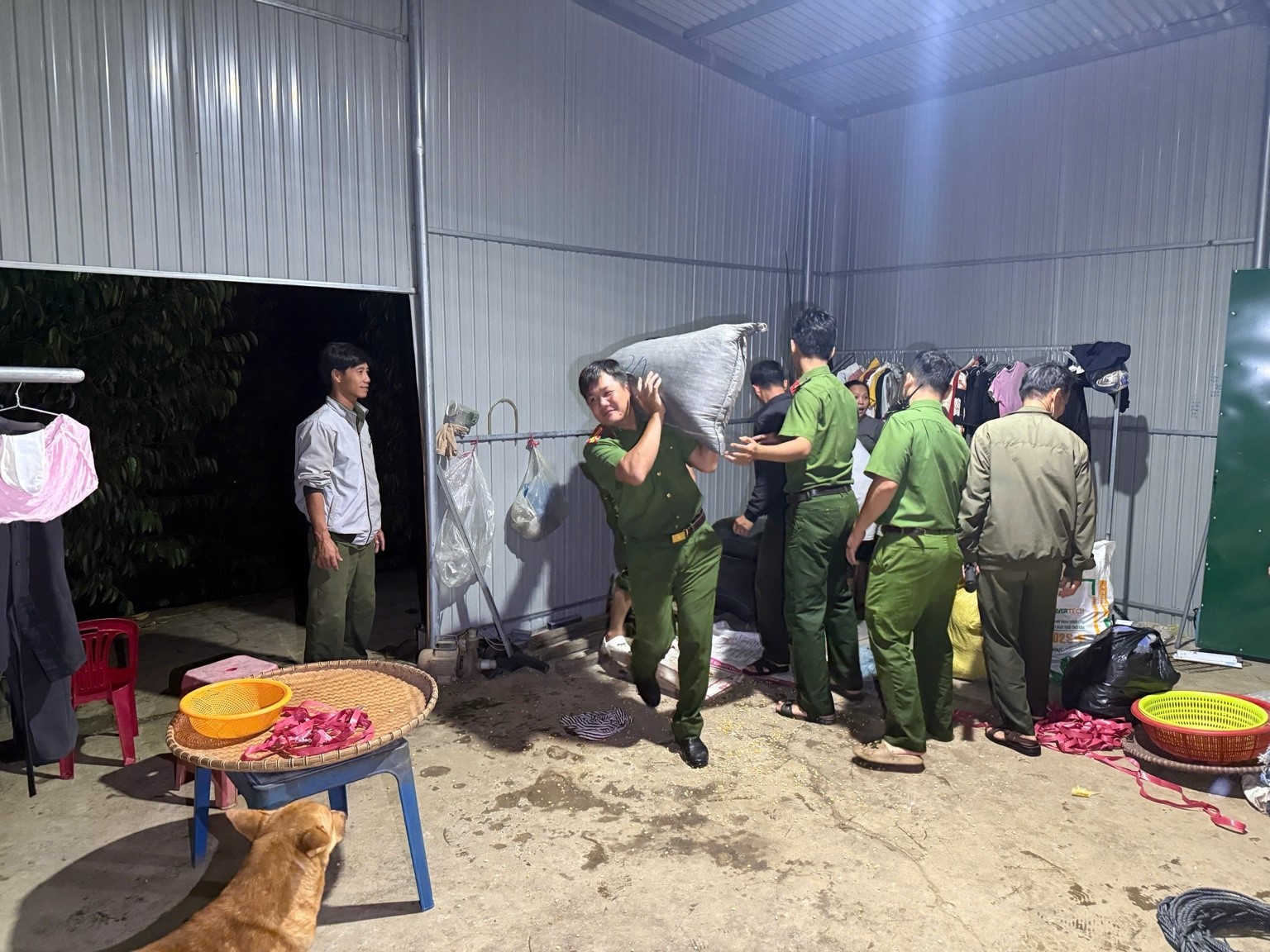 - Ảnh 3. - Ảnh 3.