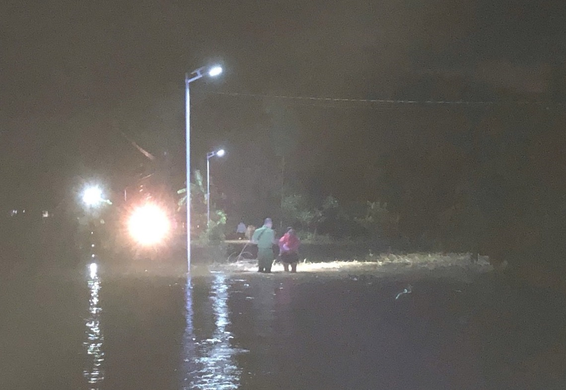 - Ảnh 4. - Ảnh 4.