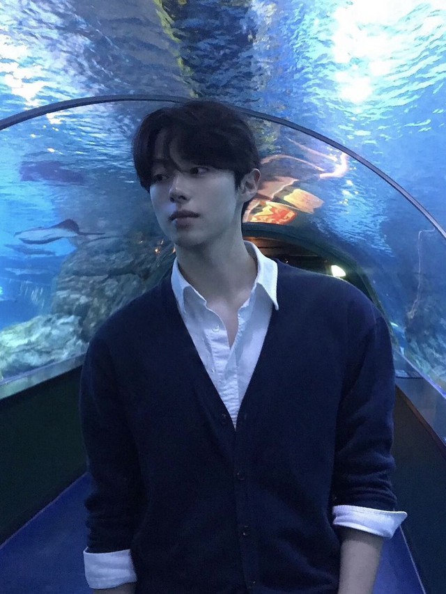 20 dấu hiệu của người thông minh- Ảnh 1.