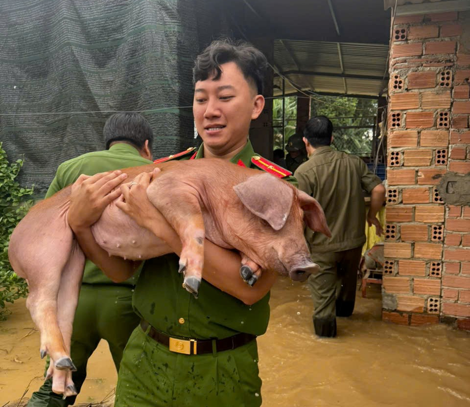 - Ảnh 1. - Ảnh 1.