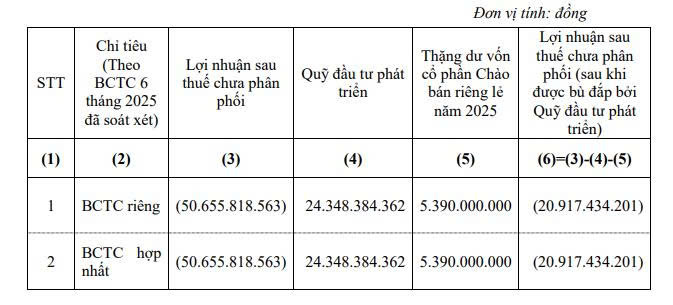 Ladophar muốn dùng quỹ đầu tư phát triển và thặng dư vốn để khắc phục lỗ lũy kế - Ảnh 1.