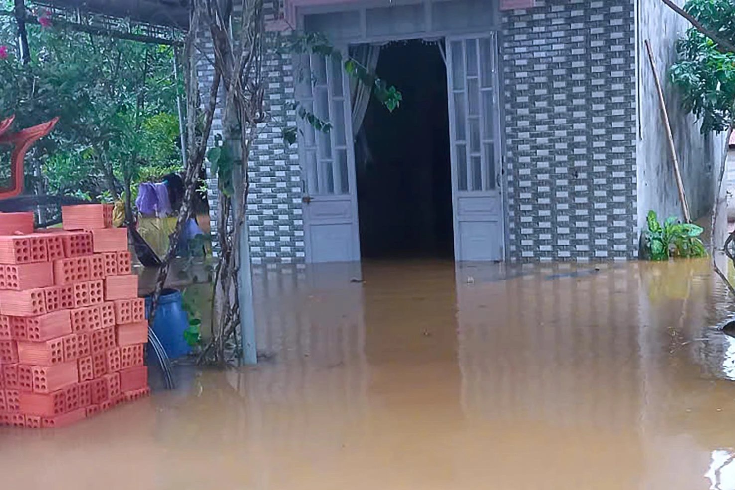 - Ảnh 5. - Ảnh 5.