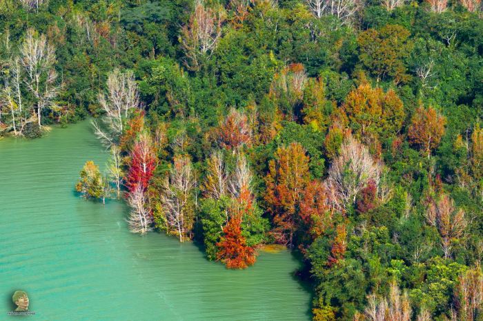 Không phải Hàn Quốc, Nhật Bản, đây là rừng phong ở Việt Nam: Du khách nhận xét "Chẳng cần đi nước ngoài" - Ảnh 3. Không phải Hàn Quốc, Nhật Bản, đây là rừng phong ở Việt Nam: Du khách nhận xét "Chẳng cần đi nước ngoài" - Ảnh 3.