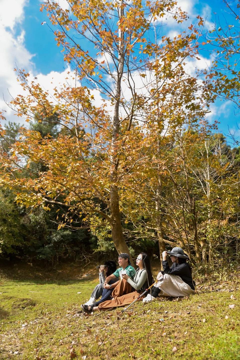 Không phải Hàn Quốc, Nhật Bản, đây là rừng phong ở Việt Nam: Du khách nhận xét "Chẳng cần đi nước ngoài" - Ảnh 6. Không phải Hàn Quốc, Nhật Bản, đây là rừng phong ở Việt Nam: Du khách nhận xét "Chẳng cần đi nước ngoài" - Ảnh 6.