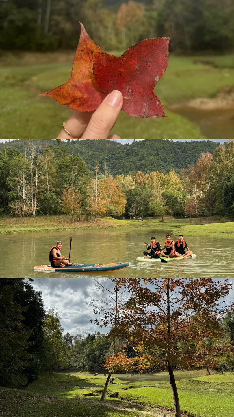 Không phải Hàn Quốc, Nhật Bản, đây là rừng phong ở Việt Nam: Du khách nhận xét "Chẳng cần đi nước ngoài" - Ảnh 8. Không phải Hàn Quốc, Nhật Bản, đây là rừng phong ở Việt Nam: Du khách nhận xét "Chẳng cần đi nước ngoài" - Ảnh 8.