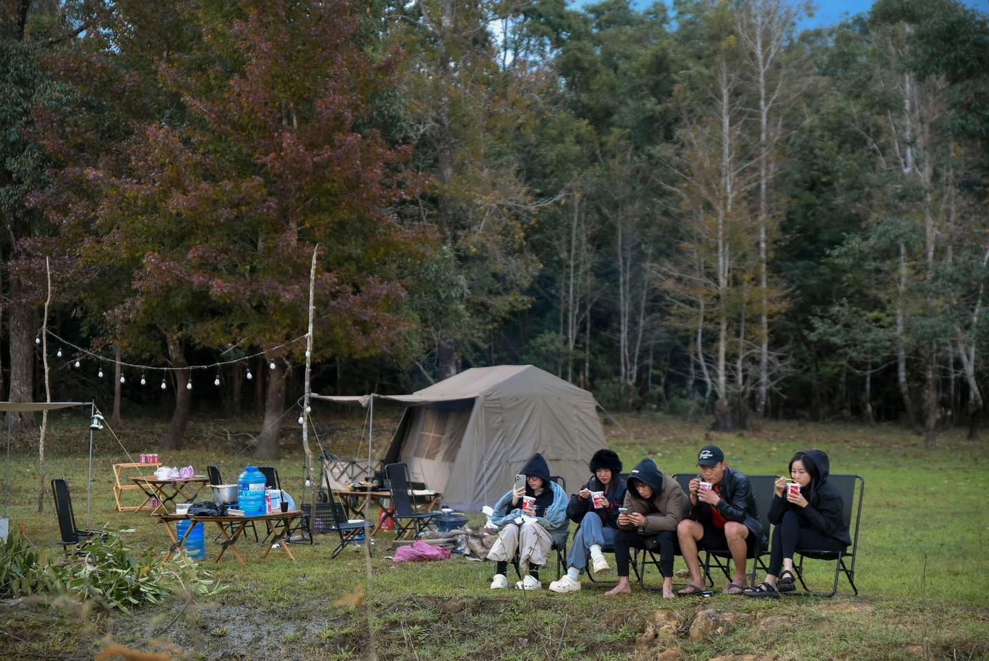 Không phải Hàn Quốc, Nhật Bản, đây là rừng phong ở Việt Nam: Du khách nhận xét "Chẳng cần đi nước ngoài" - Ảnh 7. Không phải Hàn Quốc, Nhật Bản, đây là rừng phong ở Việt Nam: Du khách nhận xét "Chẳng cần đi nước ngoài" - Ảnh 7.