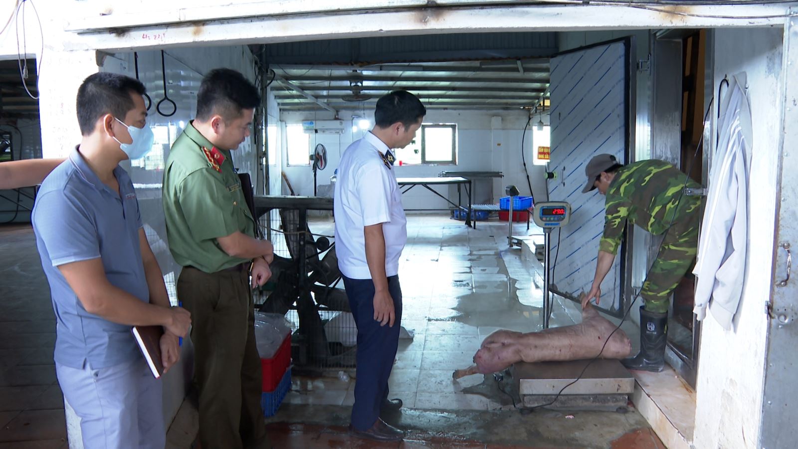 Bị khởi tố vì giết mổ lợn bệnh và bảo quản thịt nhiễm dịch tả lợn Châu Phi - Ảnh 1. Bị khởi tố vì giết mổ lợn bệnh và bảo quản thịt nhiễm dịch tả lợn Châu Phi - Ảnh 1.