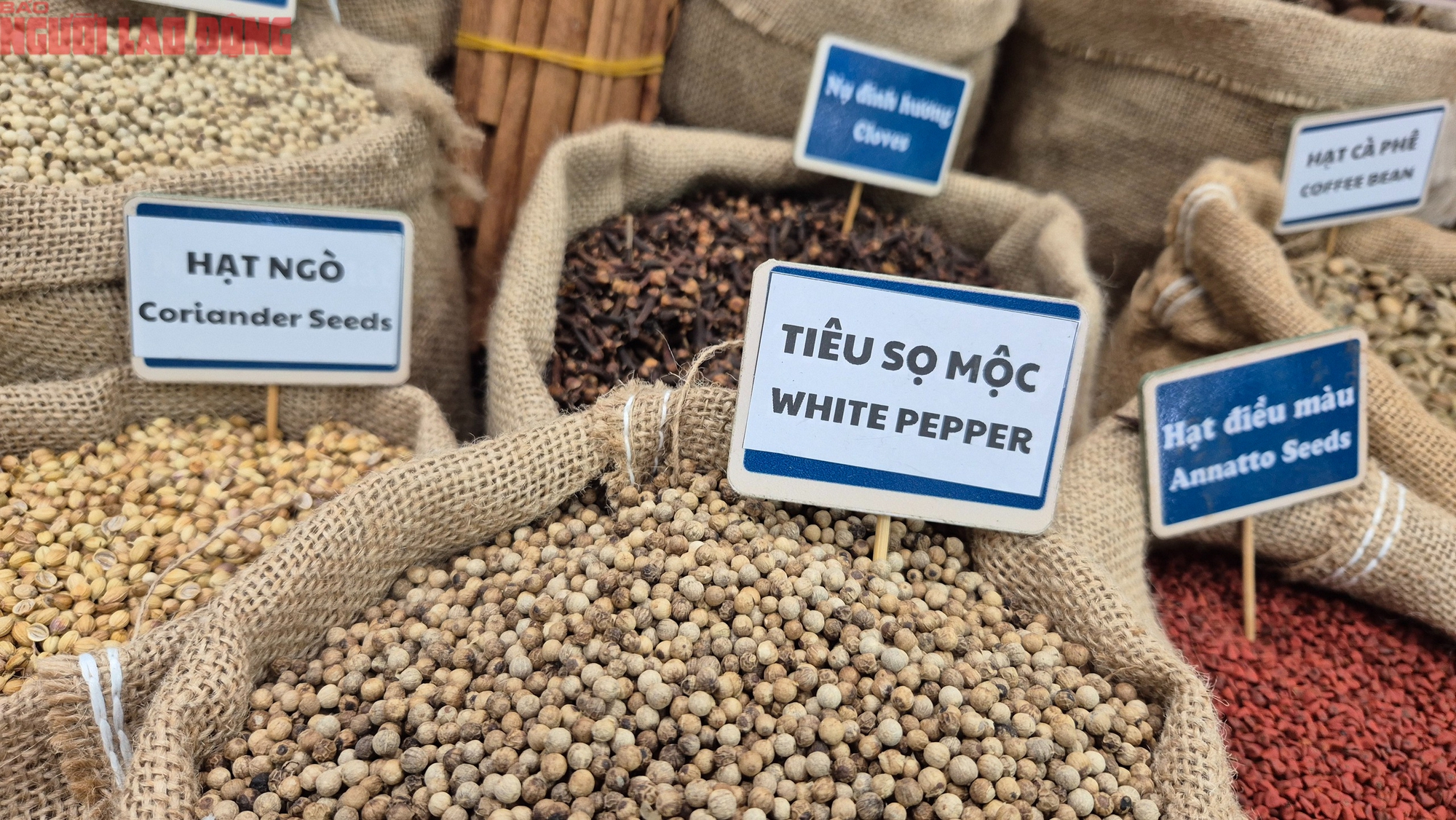 5 ngành hàng tỉ đô kiến nghị Quốc hội gỡ khó - Ảnh 1.